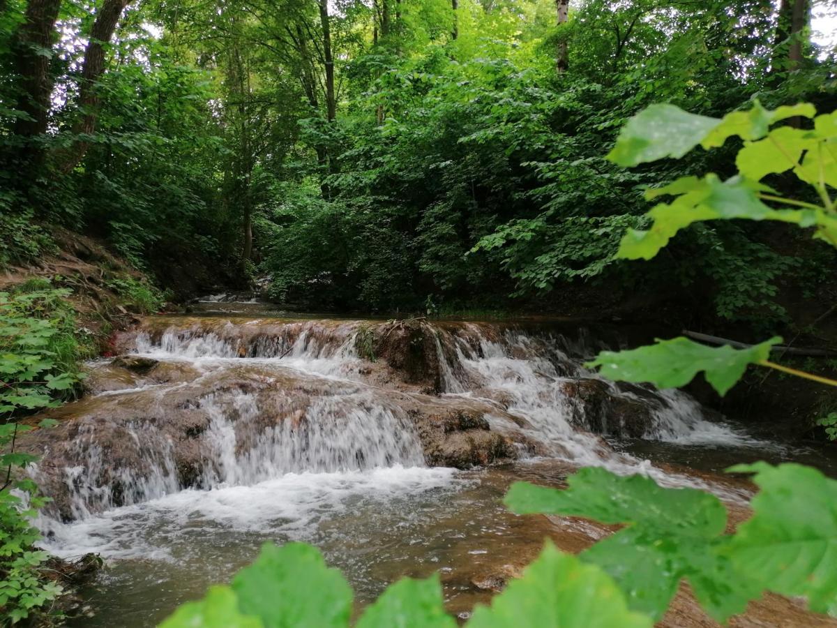 Apartman 11 Mymara Bešeňová Esterno foto